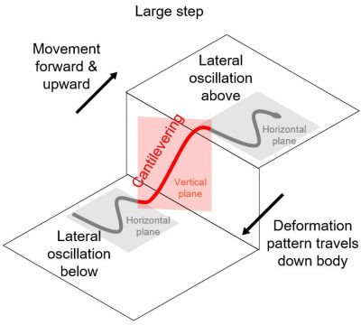 Plane Traversing Oscillator